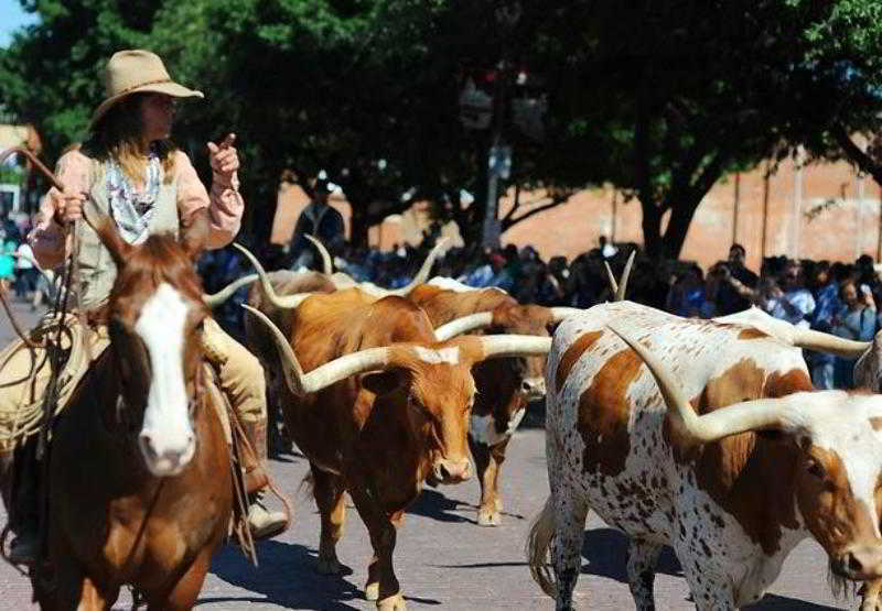Hawthorn Suites Fort Worth University Εξωτερικό φωτογραφία